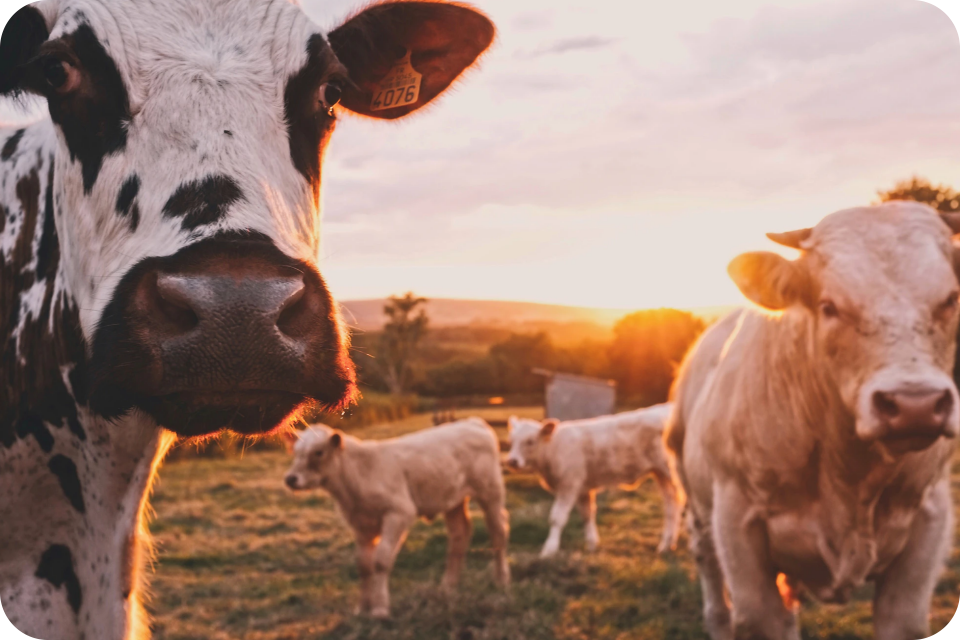 Escena de colaboracion en linea del equipo